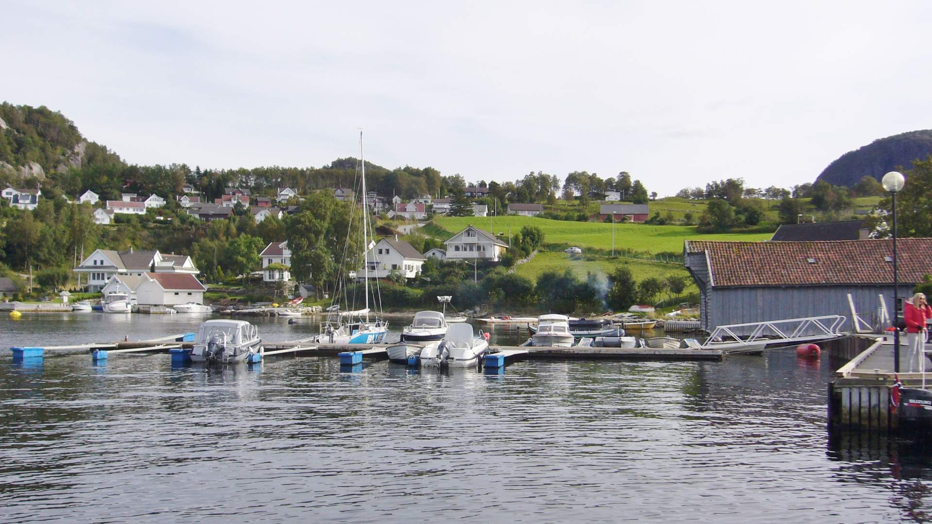 Morgontåke over stille elvekulp med grønne bredder